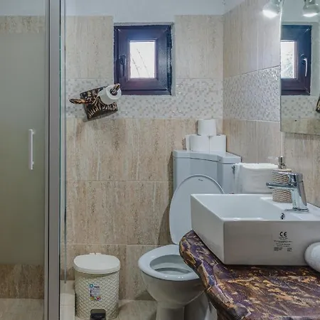 Casuta Bunicilor Guest house Vatra Dornei